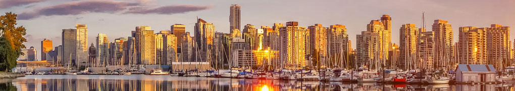 Vokabeln lernen wie 2037 !!